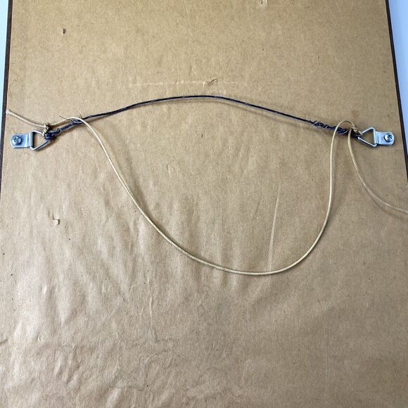 Jan Mintz Pen Ink Watercolor Morning Hummer Flowers Hummingbird Framed Art - Picture 10 of 12